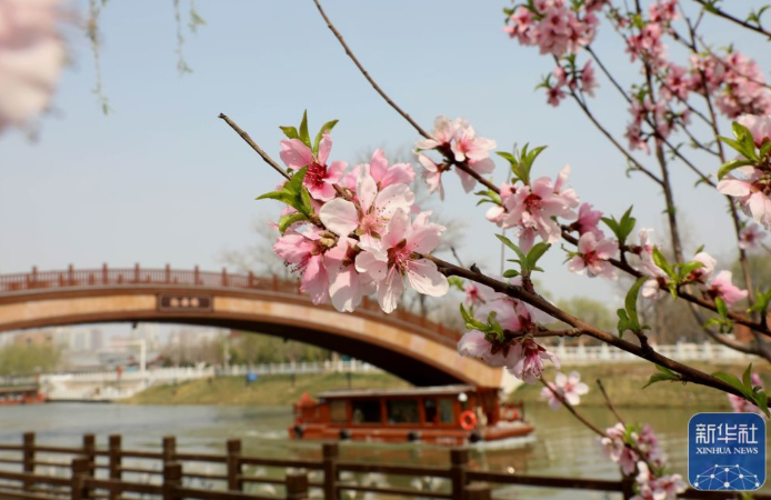 微信截图_20230407143107.png