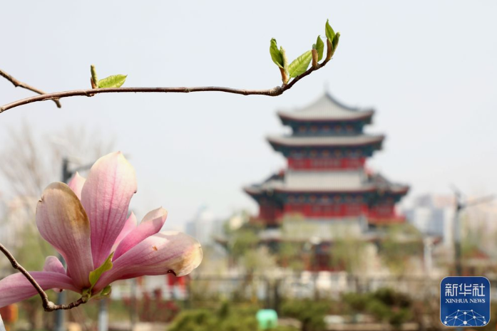 微信截图_20230407143124.png
